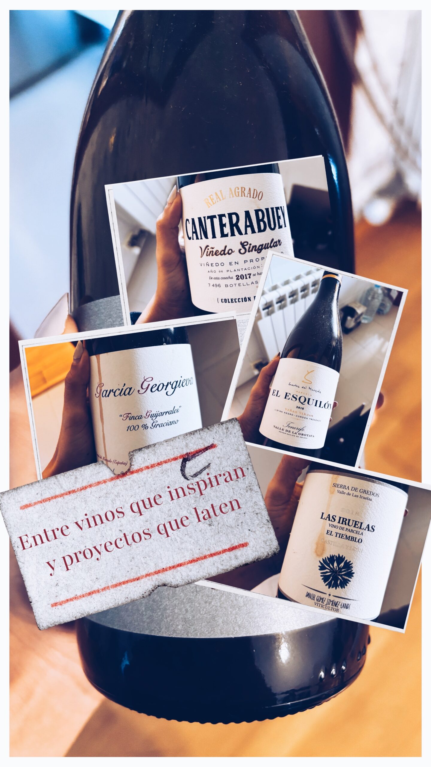 Catas de vino