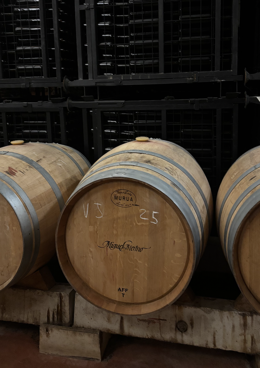Visita a Bodegas Miguel Merino